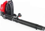 Воздуходувка бензиновая ранцевая Geos Max BPB 380